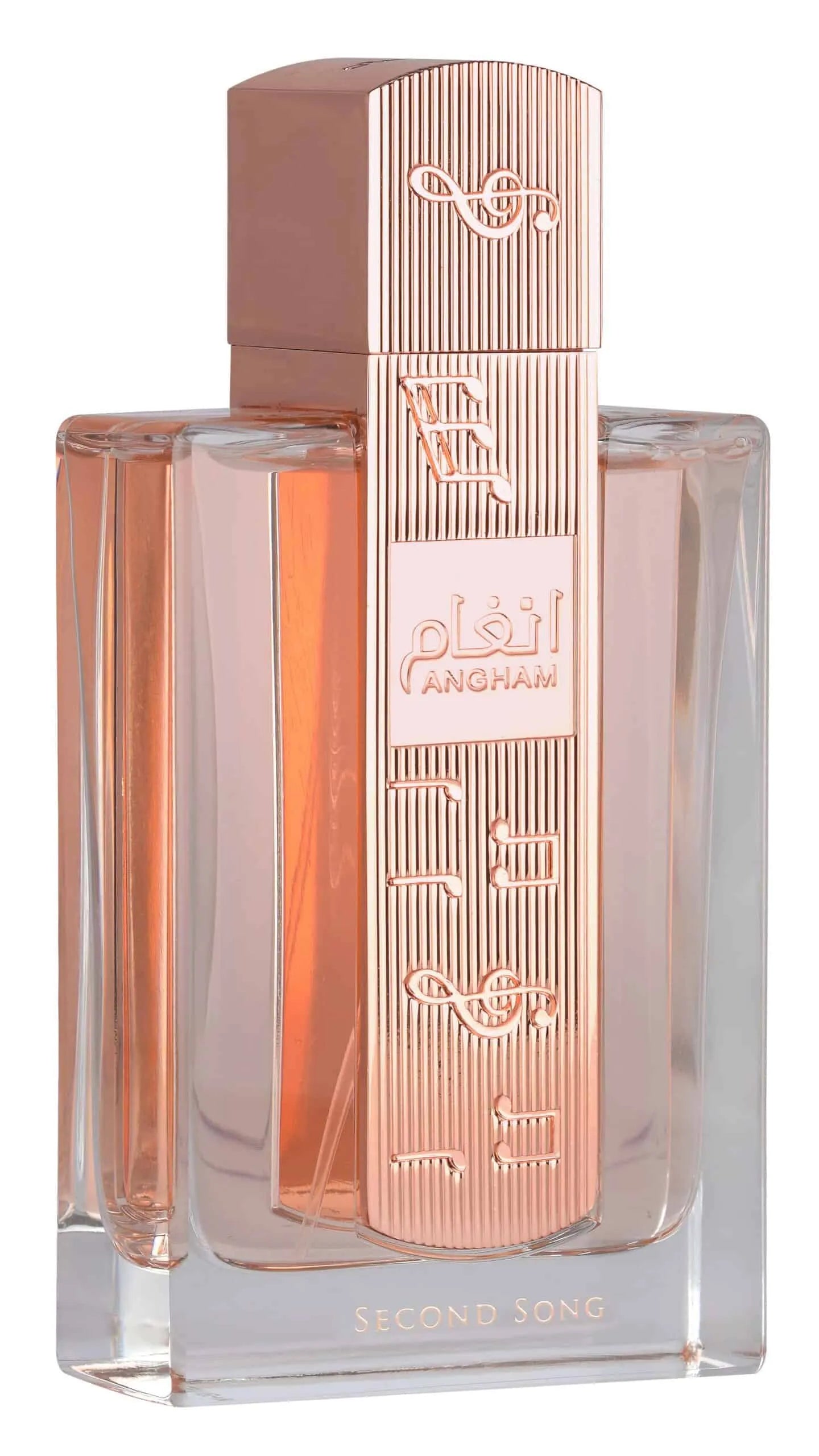 أنغام الأغنية الثانية