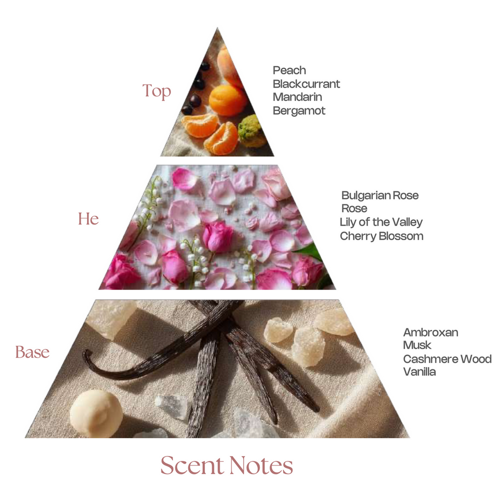 DAAREJ AURELIA - Rasasi notes