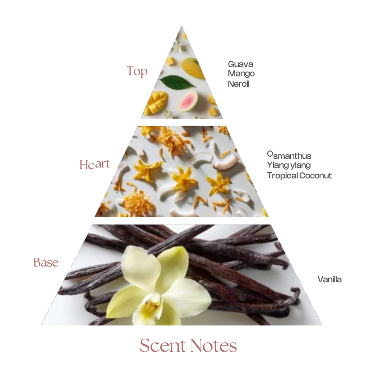 SHUHRAH OPULENCE - Rasasi notes